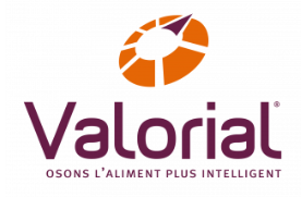 Logo Valoria